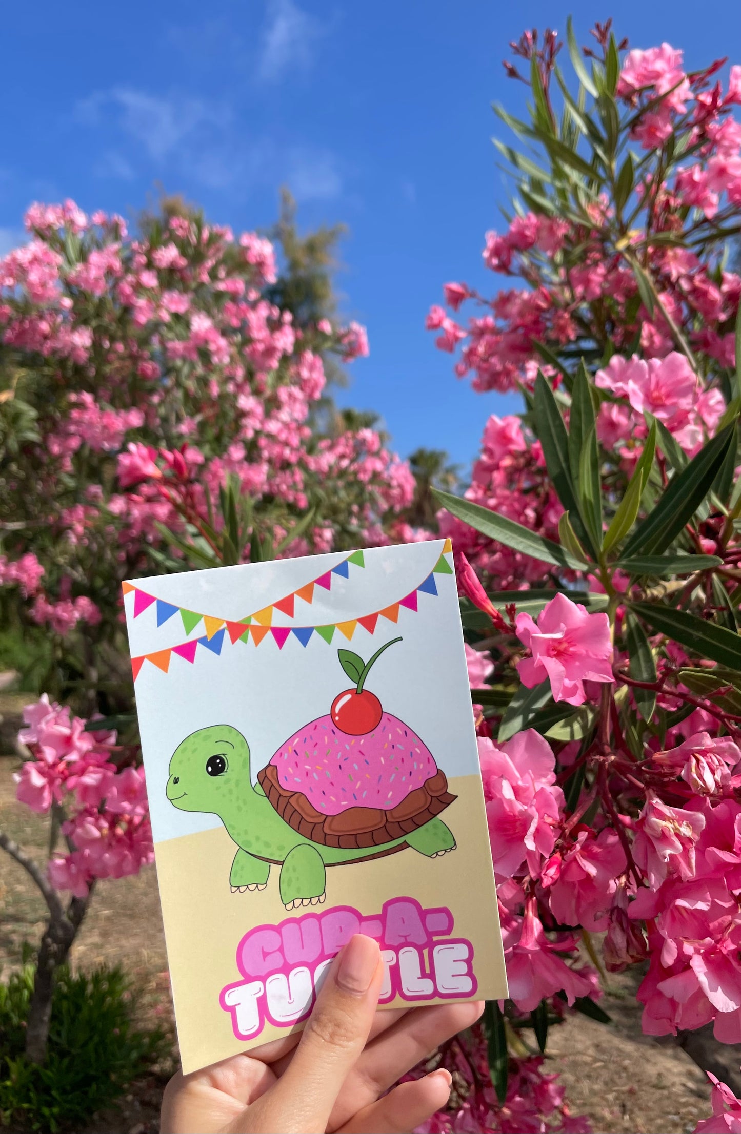Cup-a-Turtle (birthday) card